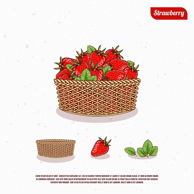 Fresh ripe strawberry in the bucket illustration design