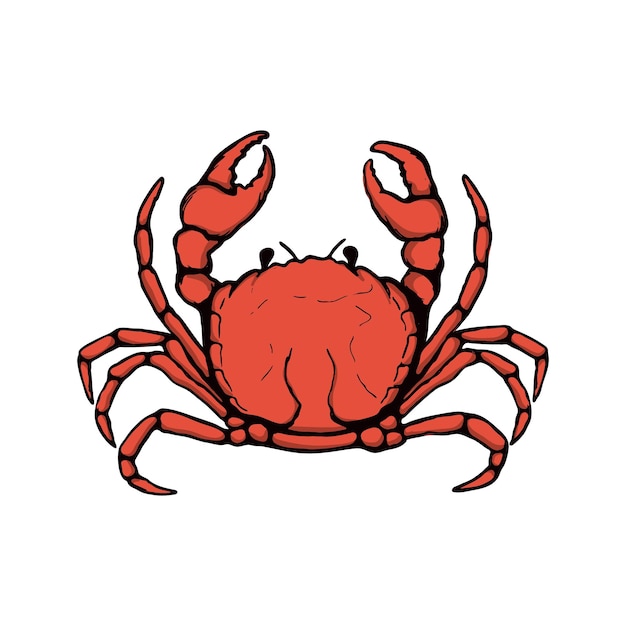 Vector fresh seafood red crab seafood restaurant hand drawn crab illustration isolated on white background design element for logo label emblem sign