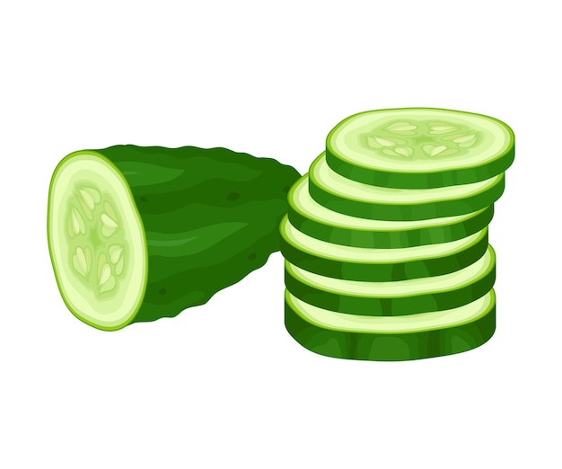 Vector fresh sliced cucumber vector element green juiced vegetable manyseeded crop