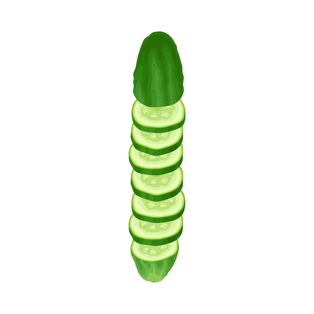 Vector fresh sliced cucumber vector element green juiced vegetable manyseeded crop