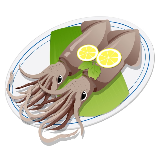 Fresh squid sashimi on the plate vector illustration