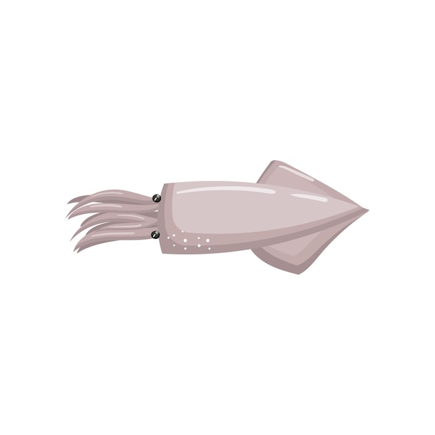 Vector fresh squid seafood cartoon vector illustration on a white background