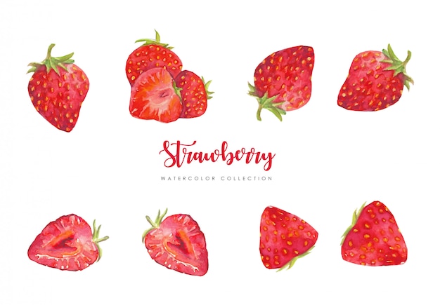 Vector fresh strawberry collection