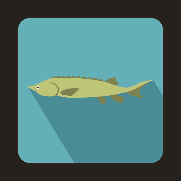 Fresh sturgeon fish icon in flat style on a baby blue background