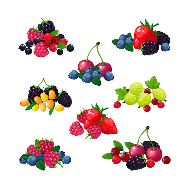 Vector fresh summer berries set