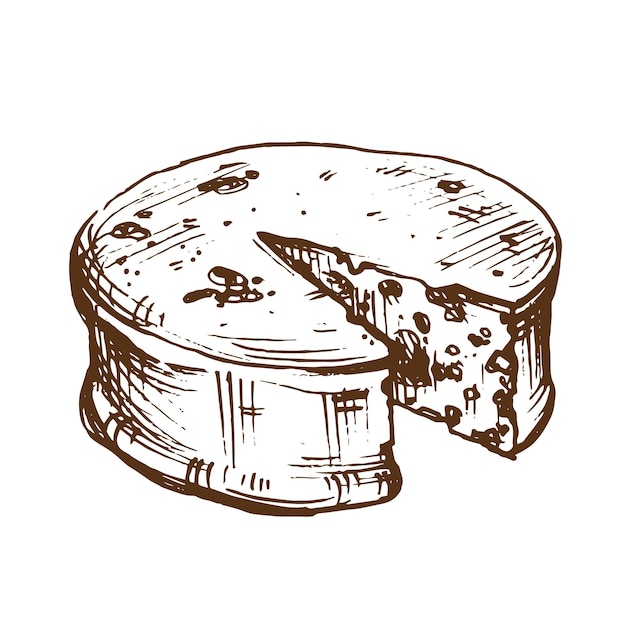 Fresh swiss cheese wheel hansketched ink illustration Vintage sketch style