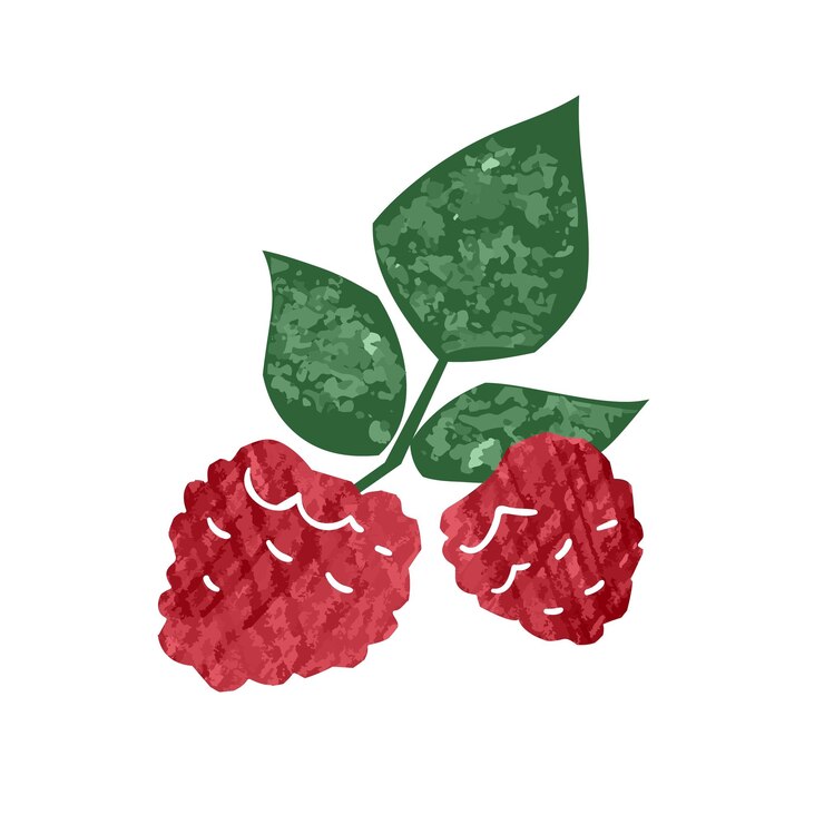 Vector fresh tasty hand drawn raspberry with leaves vector flat illustration. ripe organic natural red berries isolated on white background. colorful seasonal edible plant, healthy nutrition.