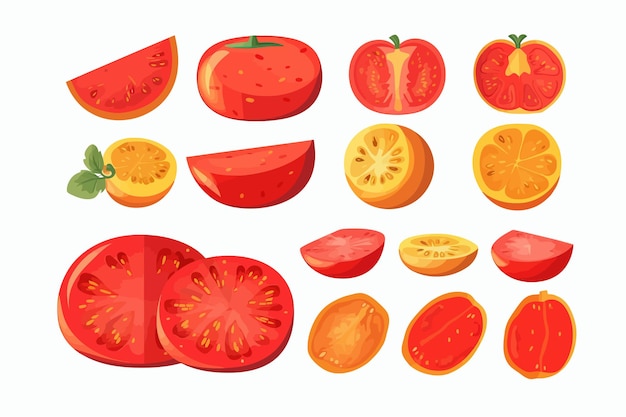 Fresh tomato pieces slices Cut vegetable wedges with seeds Isolated on white background Vector cartoon illustration