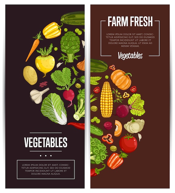 Vector fresh vegetable farming flyers set