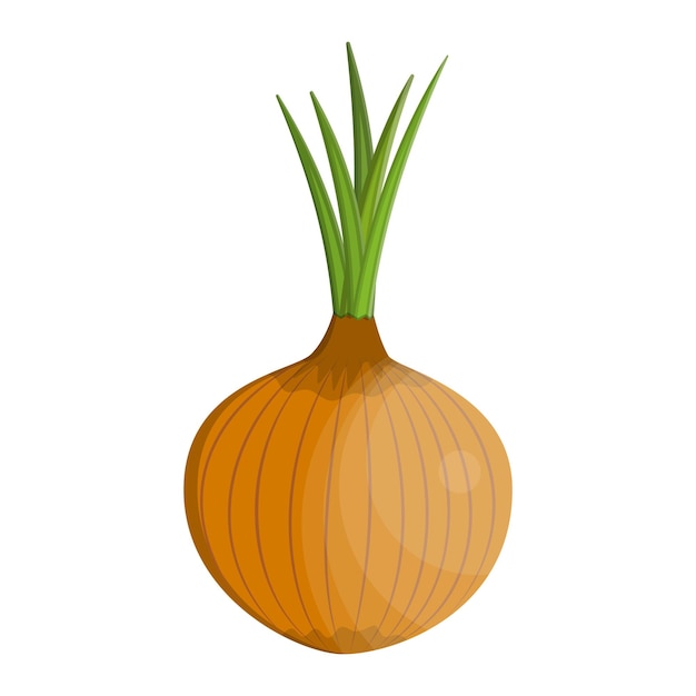 Vector fresh vegetable onion isolated icon