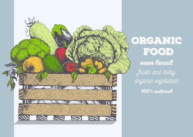 fresh vegetables in box. natural food for farmers market. hand drawn vector illustration.