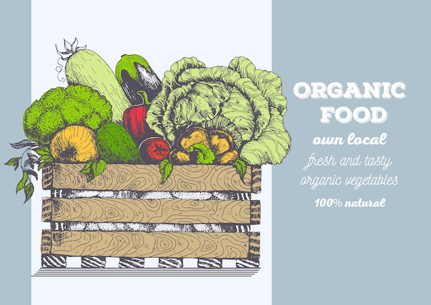 Fresh vegetables in box. Natural food for farmers market. Hand drawn vector illustration.