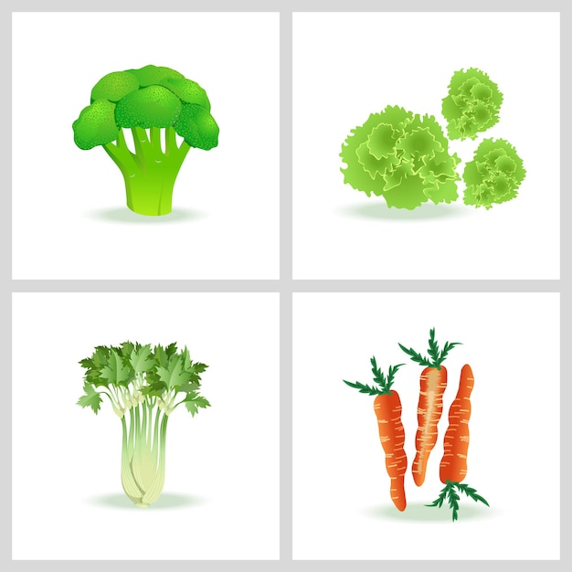 fresh vegetables broccoli salad carrots celery  vector illustration set