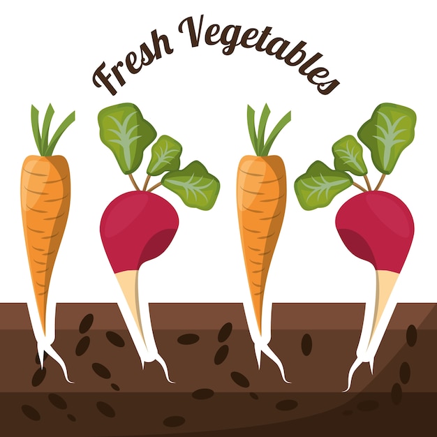 fresh vegetables growth harvest image