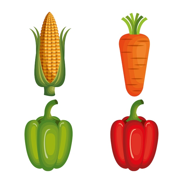 Fresh vegetables healthy food vector illustration design