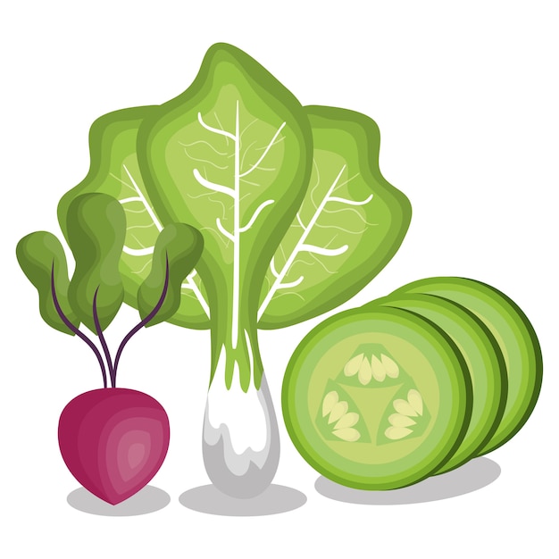 fresh vegetables healthy food vector illustration design