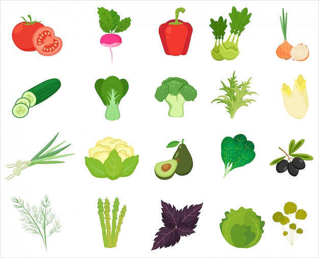 fresh vegetables and herbs color flat icons.