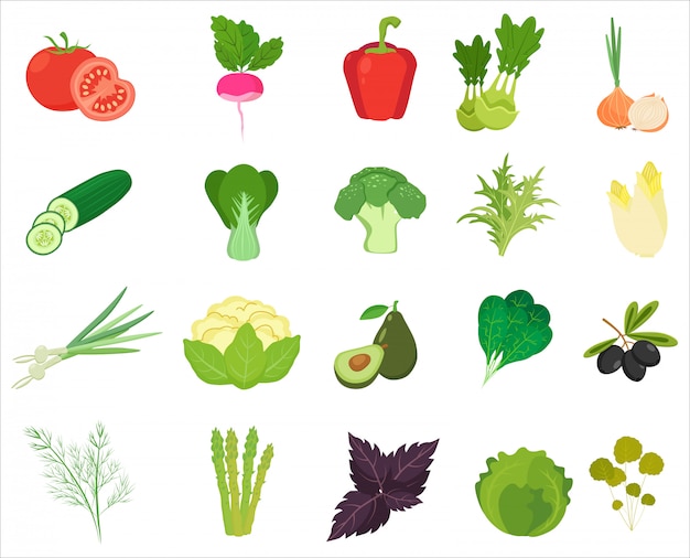 Fresh Vegetables and Herbs color flat icons.