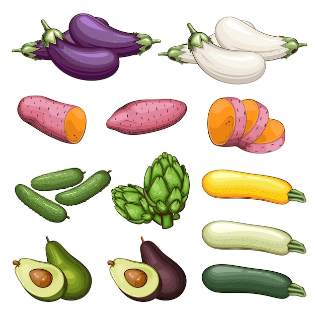 Vector fresh vegetables illustration vegetables mix eggplant sweet potato cucumber avocado and eggplant