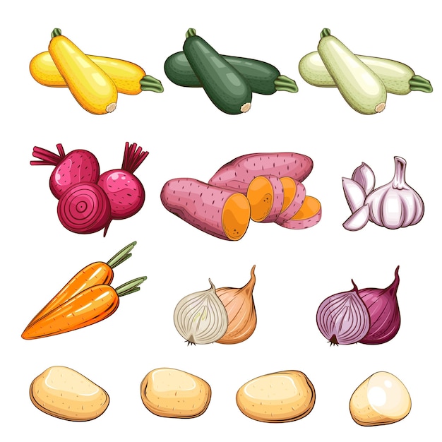 Vector fresh vegetables illustration vegetables mix eggplant zucchini sweet potato onion and carrot