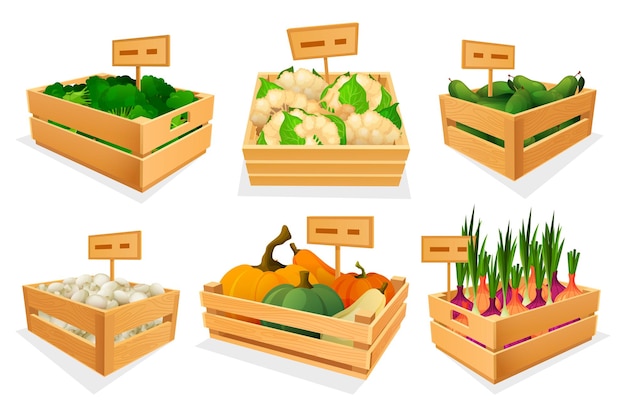Продажа свежих овощей в деревянных ящиках