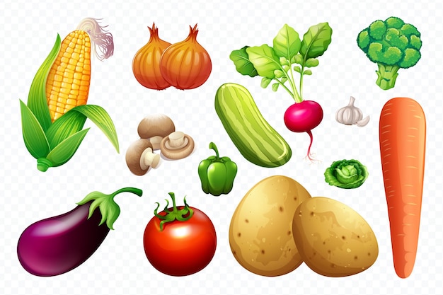 fresh vegetables set illustration design