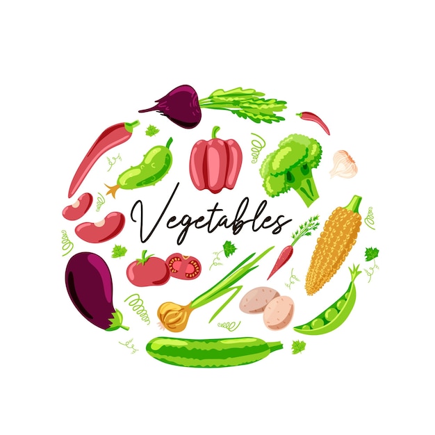 Fresh vegetables Set Peppers onions garlic carrots cucumber cabbage broccoli eggplant beans corn