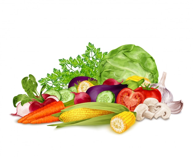Vector fresh vegetables on white