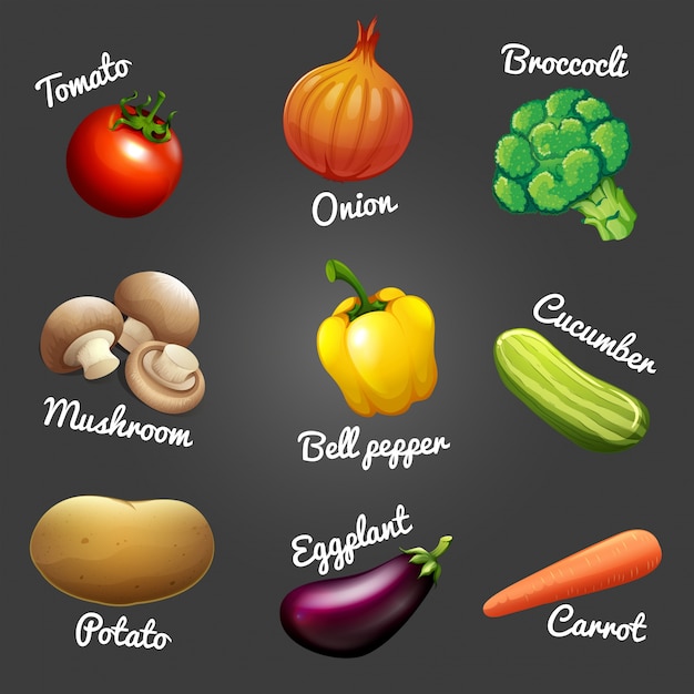 Vector fresh vegetables with names illustration