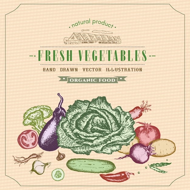 Vector fresh vegetables