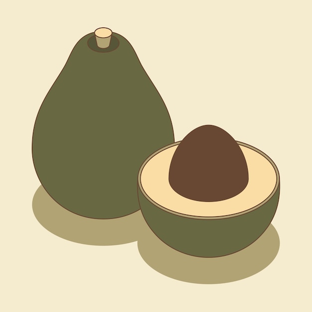 Fresh whole and sliced avocado with seed in isometric style illustration