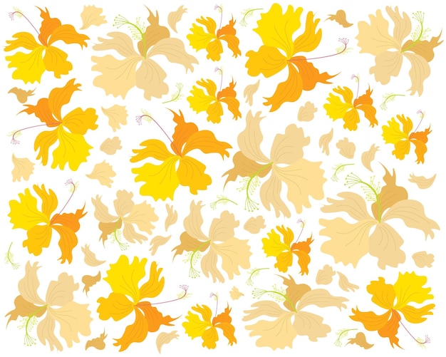 Fresh yellow hibiscus flowers background