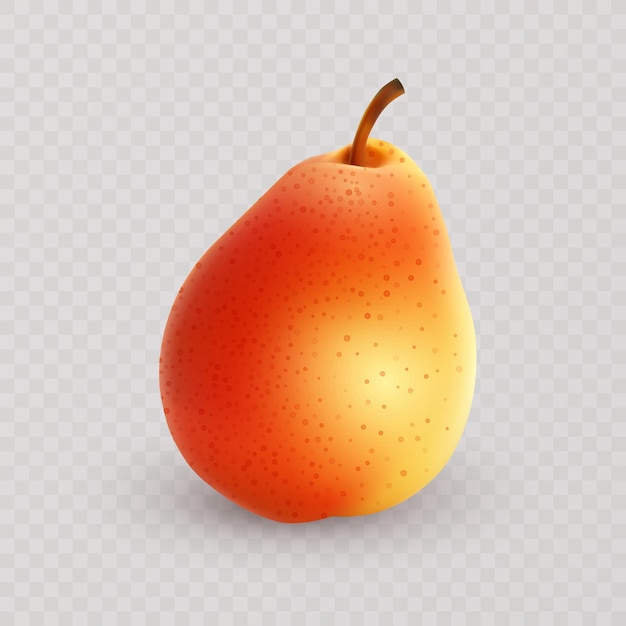 Fresh yellow pear in realistic style Pear fruit isolated on transparent vector format