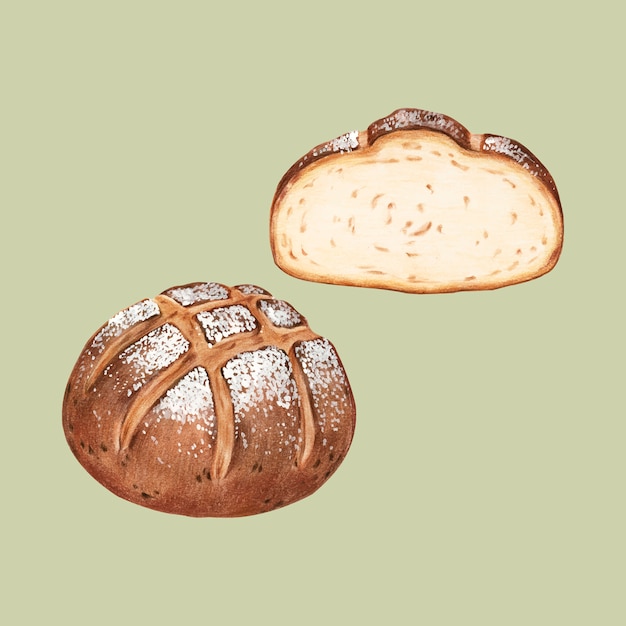 Vector freshly baked sourdough bread hand-drawn illustration