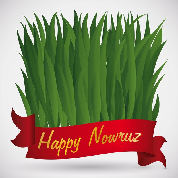 Freshly sabzeh leaves behind a red ribbon with golden greeting text growing for nowruz haft seen