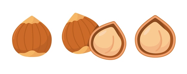 Freshly shelled and unshelled hazelnuts on a white background