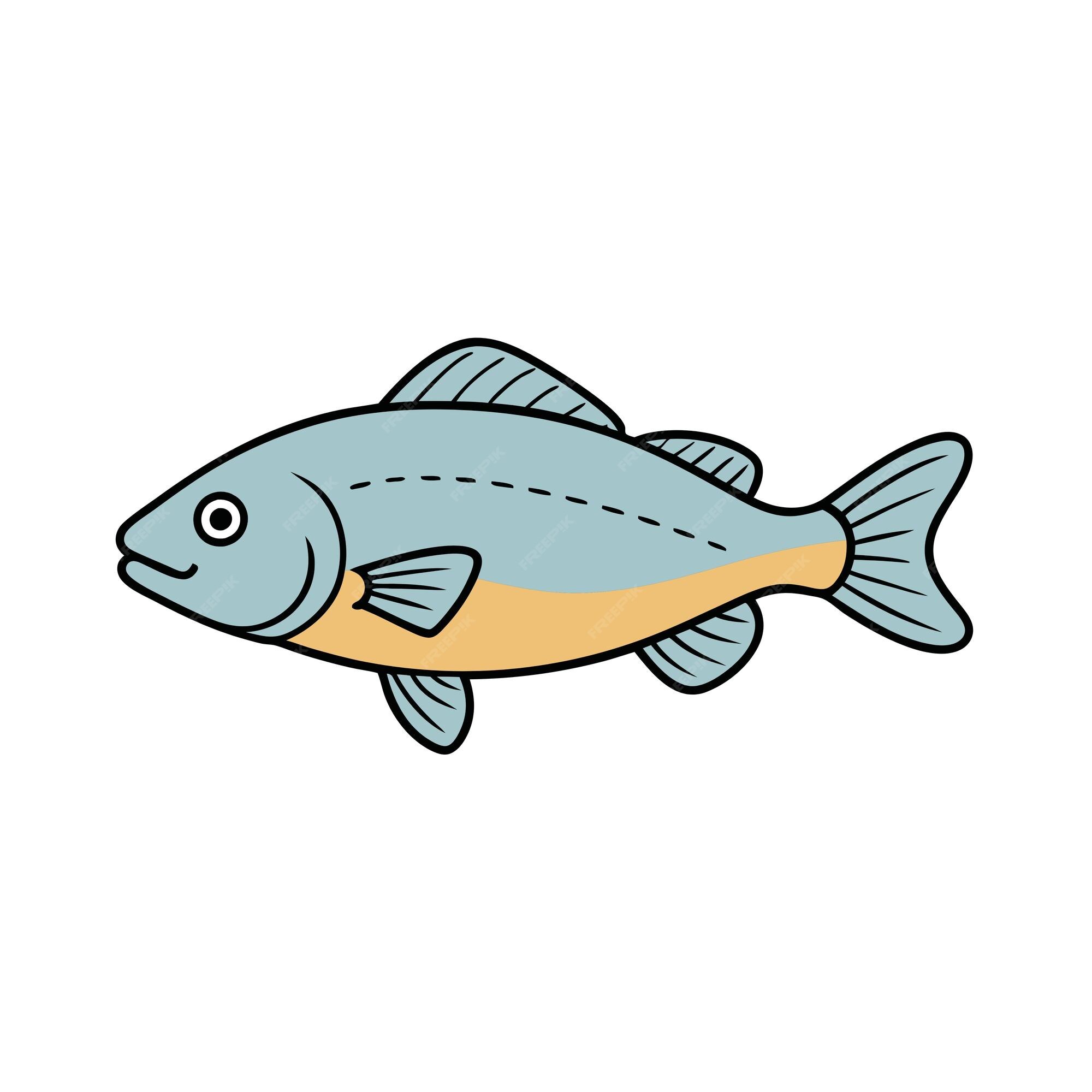 Premium Vector | Freshwater Drum fish looks icon vector
