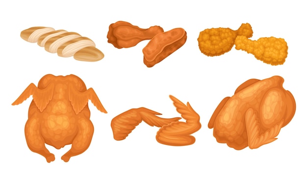 Vector fried chicken meat with wings and legs vector set