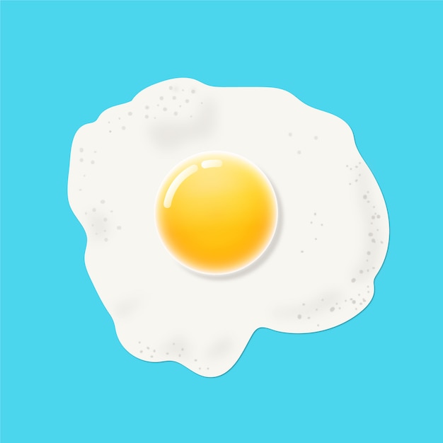 Vector fried egg illustration