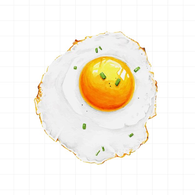 Sunny Side Up Egg Vector Illustration Stock Vector - Illustration of  poultry, duck: 49382979