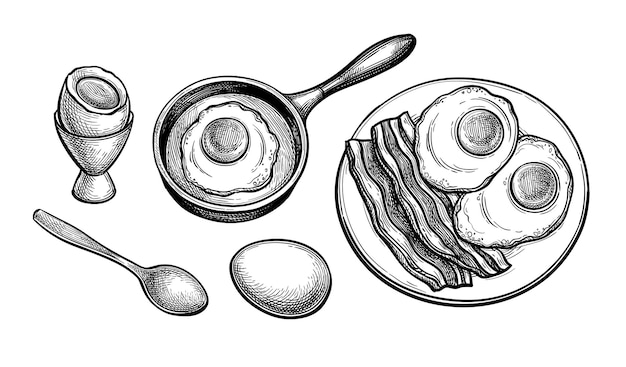 Fried and soft boiled eggs Breakfast set Ink sketch of breakfast Hand drawn vector illustration