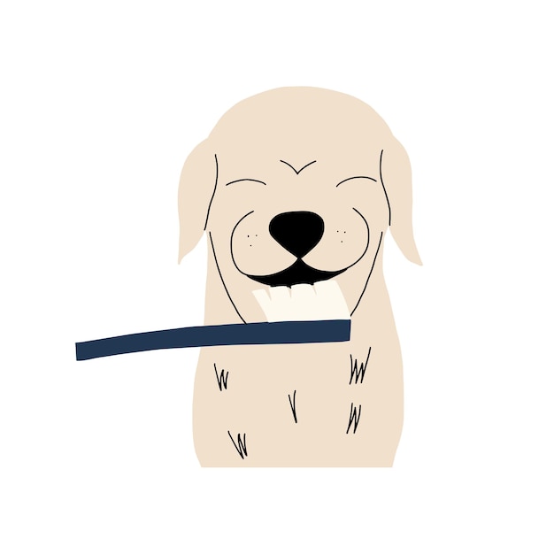 Vector friendly dog labrador gives a paw and with a heart on his nose valentine's day doggy element