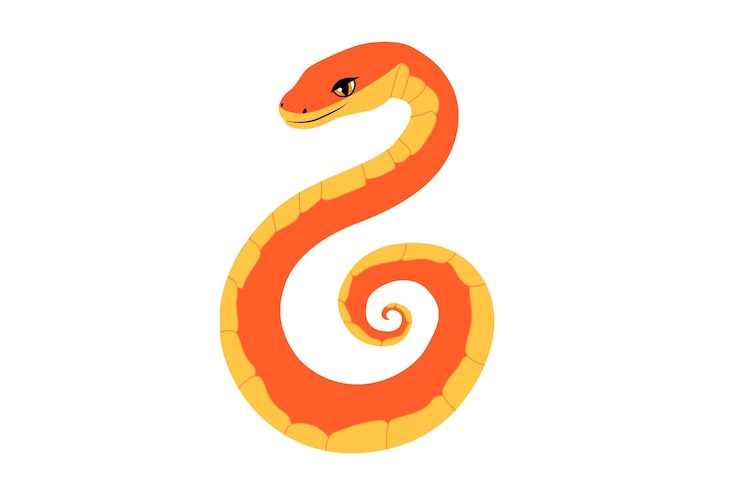 Vector friendly snake with a red and yellow pattern