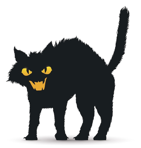 Vector frightened black cat with bristly fur and its tail elevated isolated over white background