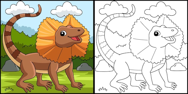 Frill Necked Lizard Coloring Page Illustration