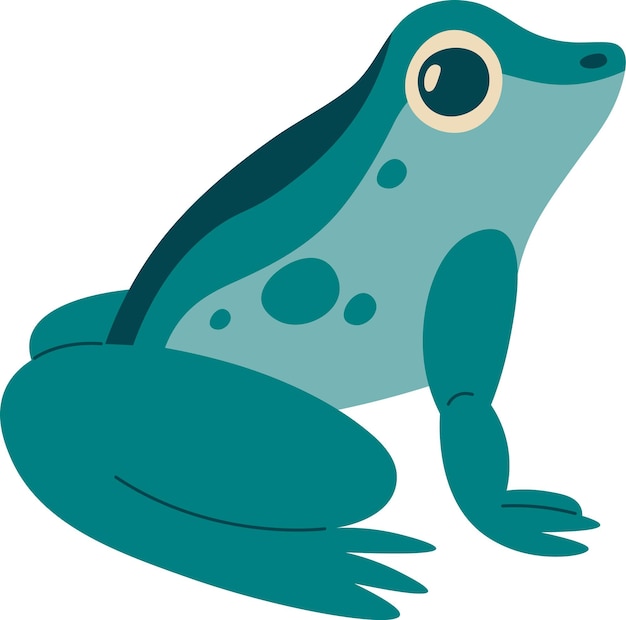 Vector frog amphibian animal