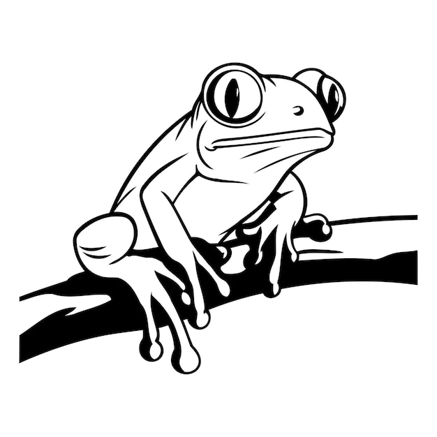 Frog on a branch Vector illustration isolated on white background