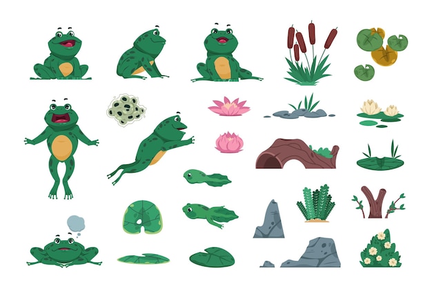 Frog Cartoon amphibian with pond and river plants Growth steps of life cycle Isolated wild animals sitting or jumping Lotus flowers and water lily leaves Vector croaking toads set