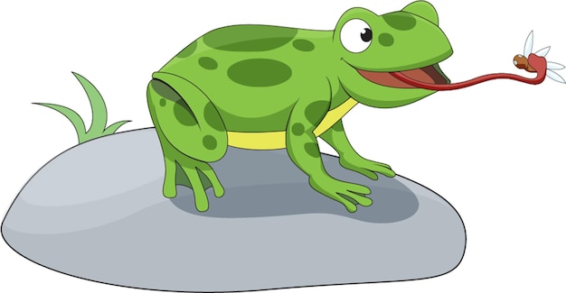 Frog catching insect with its tongue vector illustration