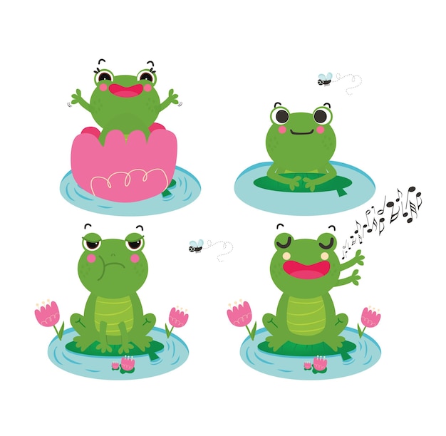 Frog characteristics kawaii cartoon cute caracte